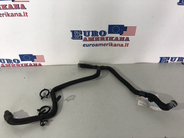 Radiator Outlet Hose